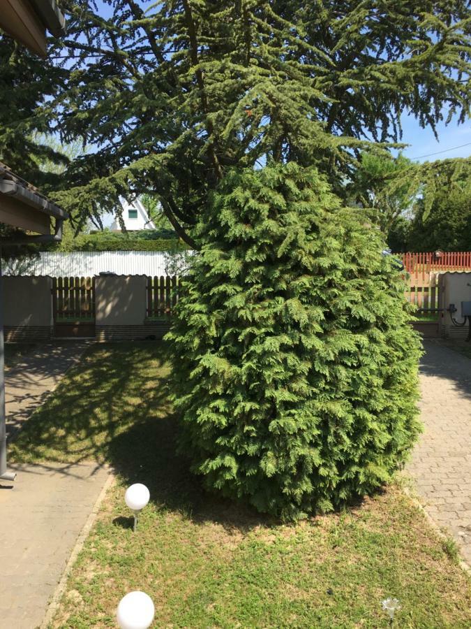Apartmán Andre & Moni Balatongyörök Exteriér fotografie